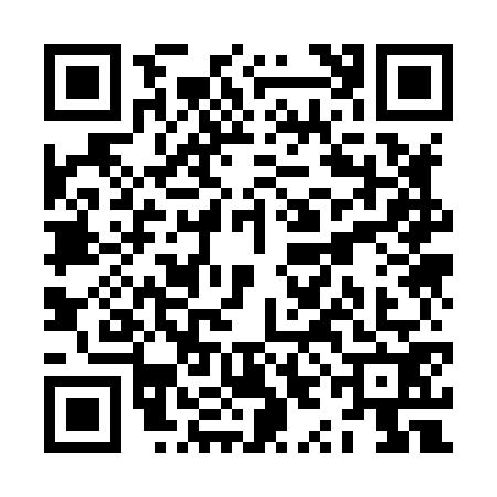 QR code for ZYK8729