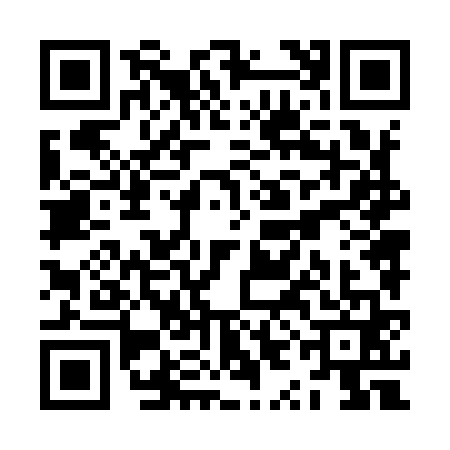QR code for ZYN9613
