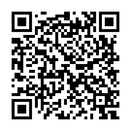 QR code for ZYP920