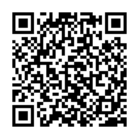 QR code for ZYQ210