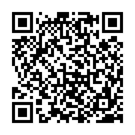 QR code for ZYU536