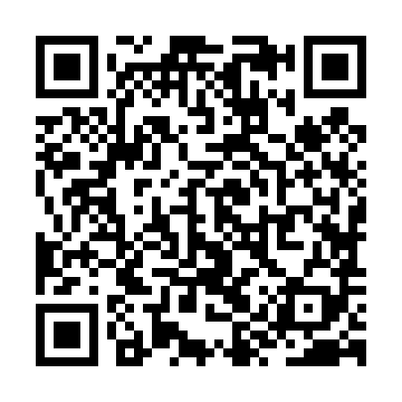 QR code for ZYZ489