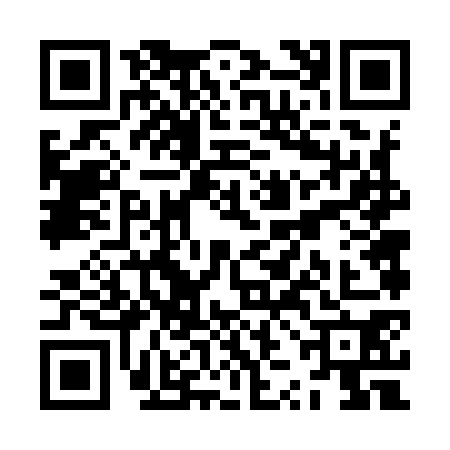 QR code for ZZF9704