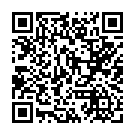 QR code for ZZI495