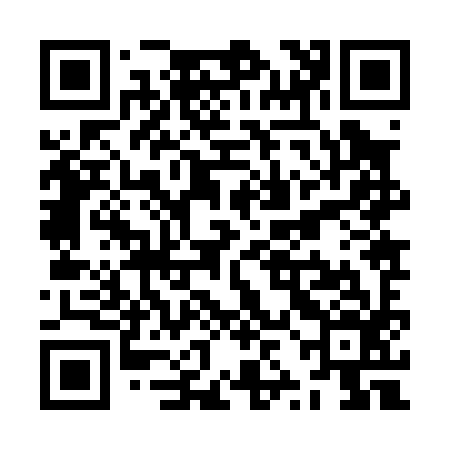 QR code for ZZJ096