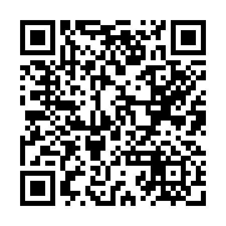 QR code for ZZJ339