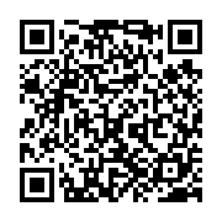 QR code for ZZM655