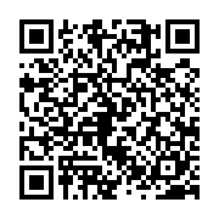 QR code for ZZT5653
