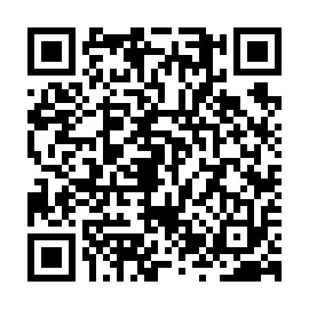 QR code for ZZV6132