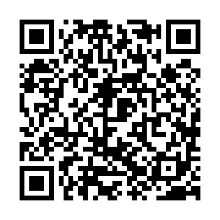 QR code for ZZX591