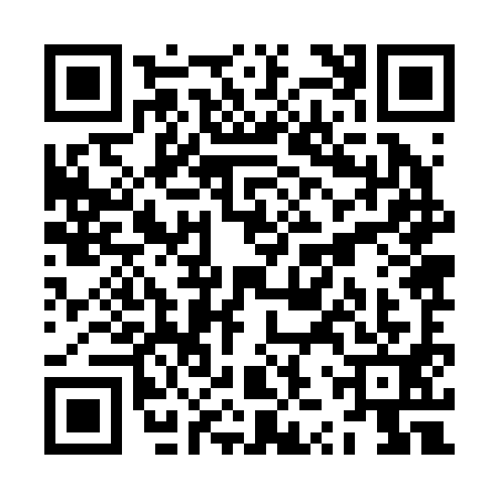 QR code for ZZZ2917
