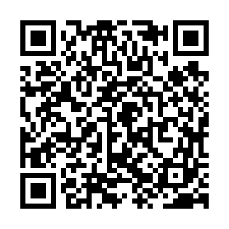 QR code for ZZZ663