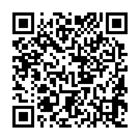 QR code for AAE399