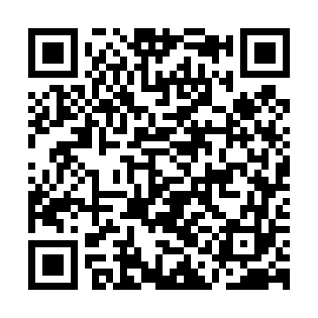 QR code for AAG463