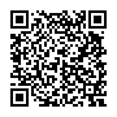 QR code for AAG490