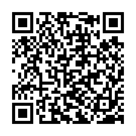 QR code for AAG613