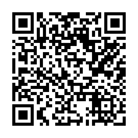 QR code for AAS219
