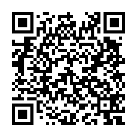 QR code for AAS419