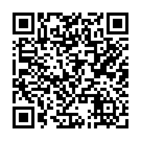 QR code for AAY334