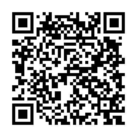 QR code for ABD411
