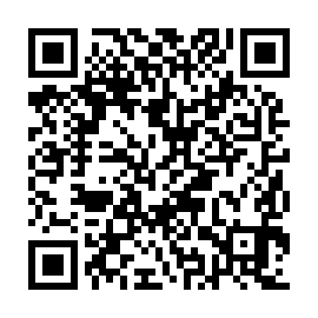 QR code for AIR991