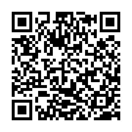 QR code for ALT500