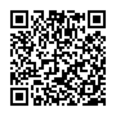 QR code for ALU495