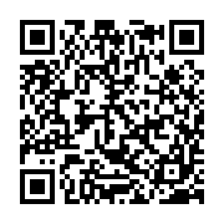 QR code for ALY197