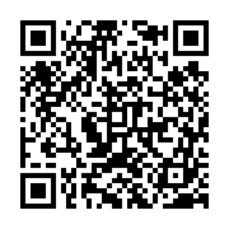 QR code for AMM663