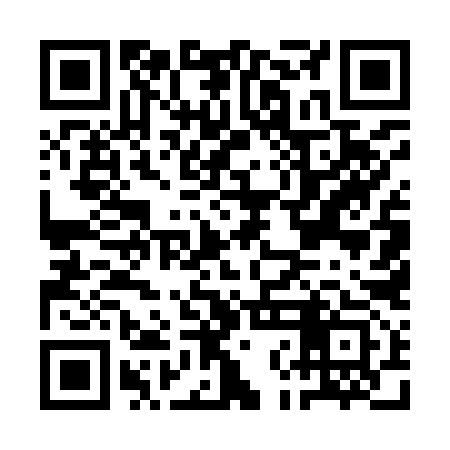QR code for ANE993