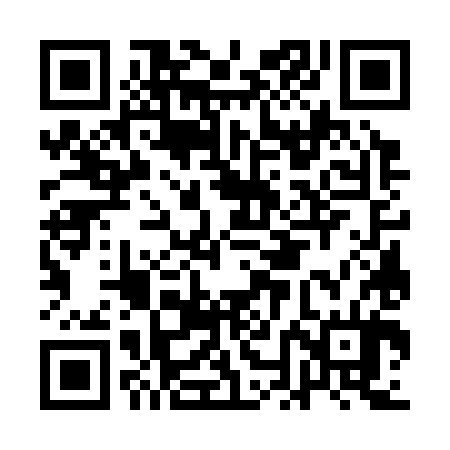 QR code for ANG384