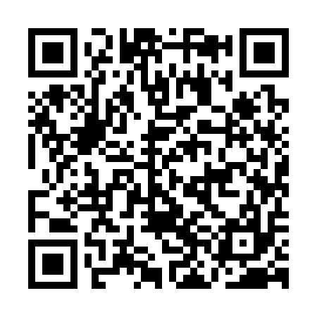 QR code for ANI317