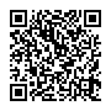 QR code for ANI539