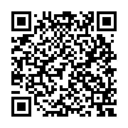 QR code for ANQ393
