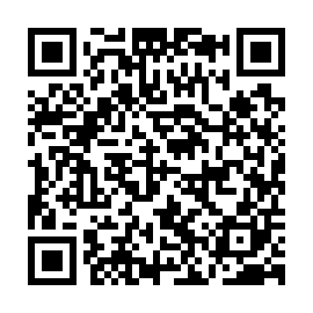 QR code for ANY700