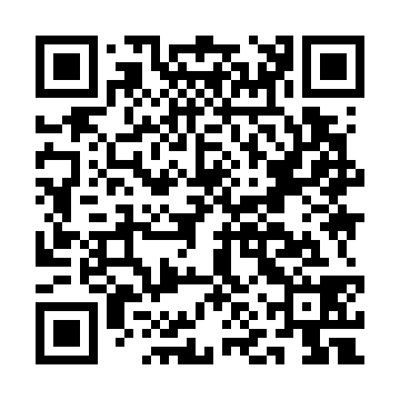QR code for ANY738