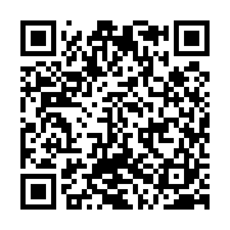 QR code for API523