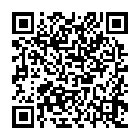 QR code for APJ398