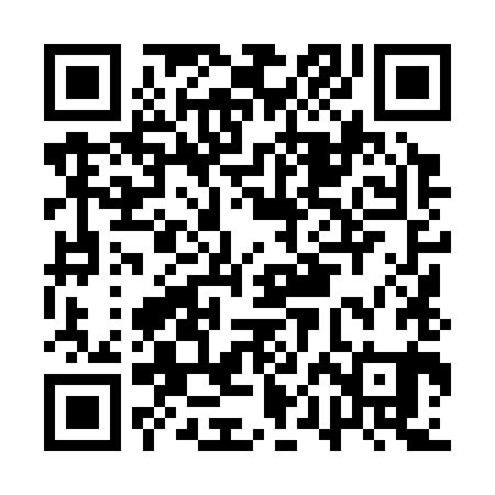 QR code for APL381