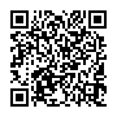 QR code for APM313