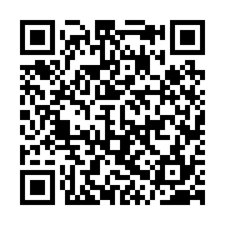 QR code for APV234