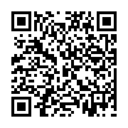 QR code for APV306