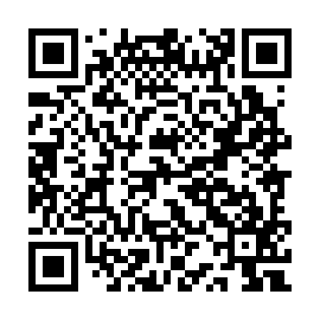 QR code for ARH397