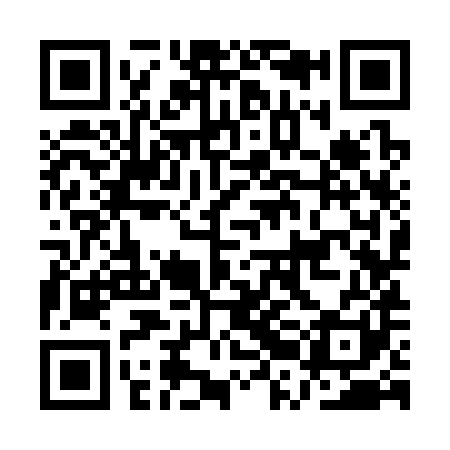 QR code for ARK381
