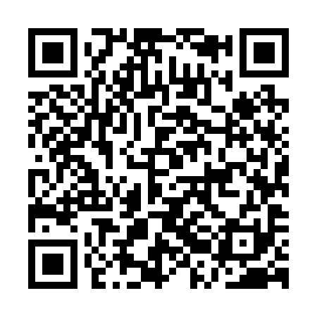 QR code for ARM291