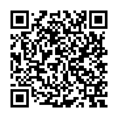 QR code for ARZ951