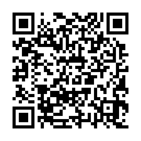 QR code for ASE333