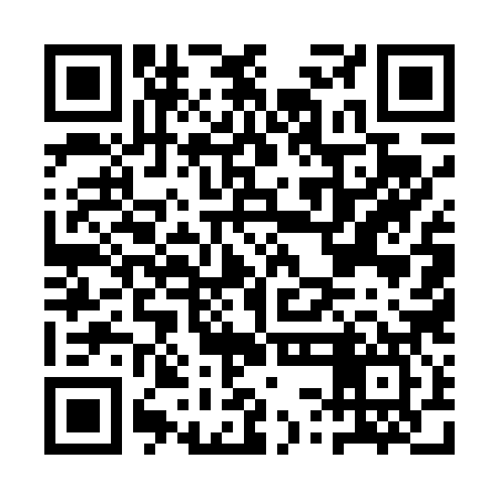 QR code for ASE487