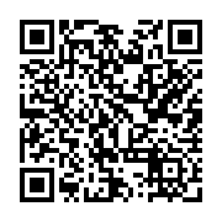 QR code for ASG373