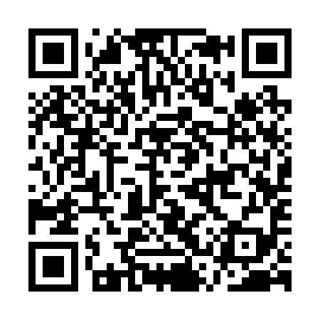 QR code for ASS299